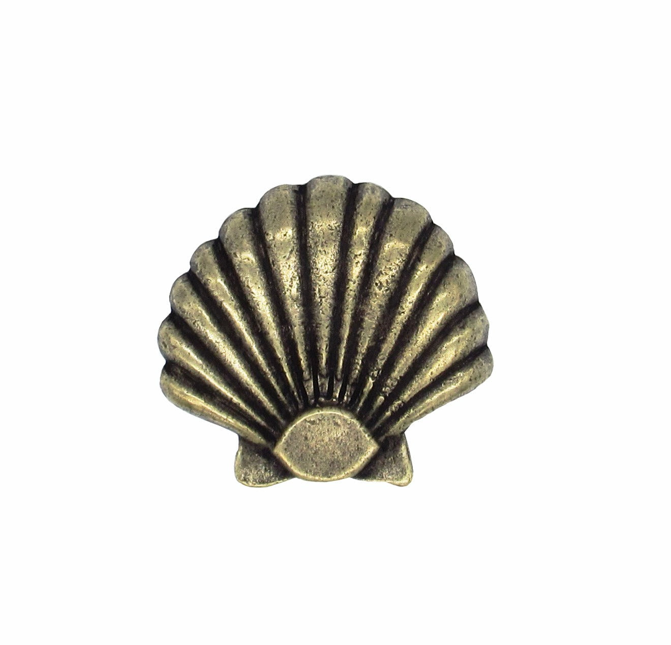 Large Seashell Brass Ox Cabinet Knob